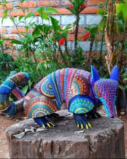alebrije handmade Wooden armadillo,Oaxaca alebrije