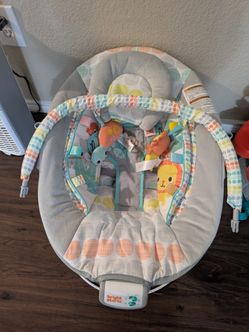 Baby Bouncer 