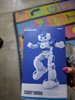 Robot