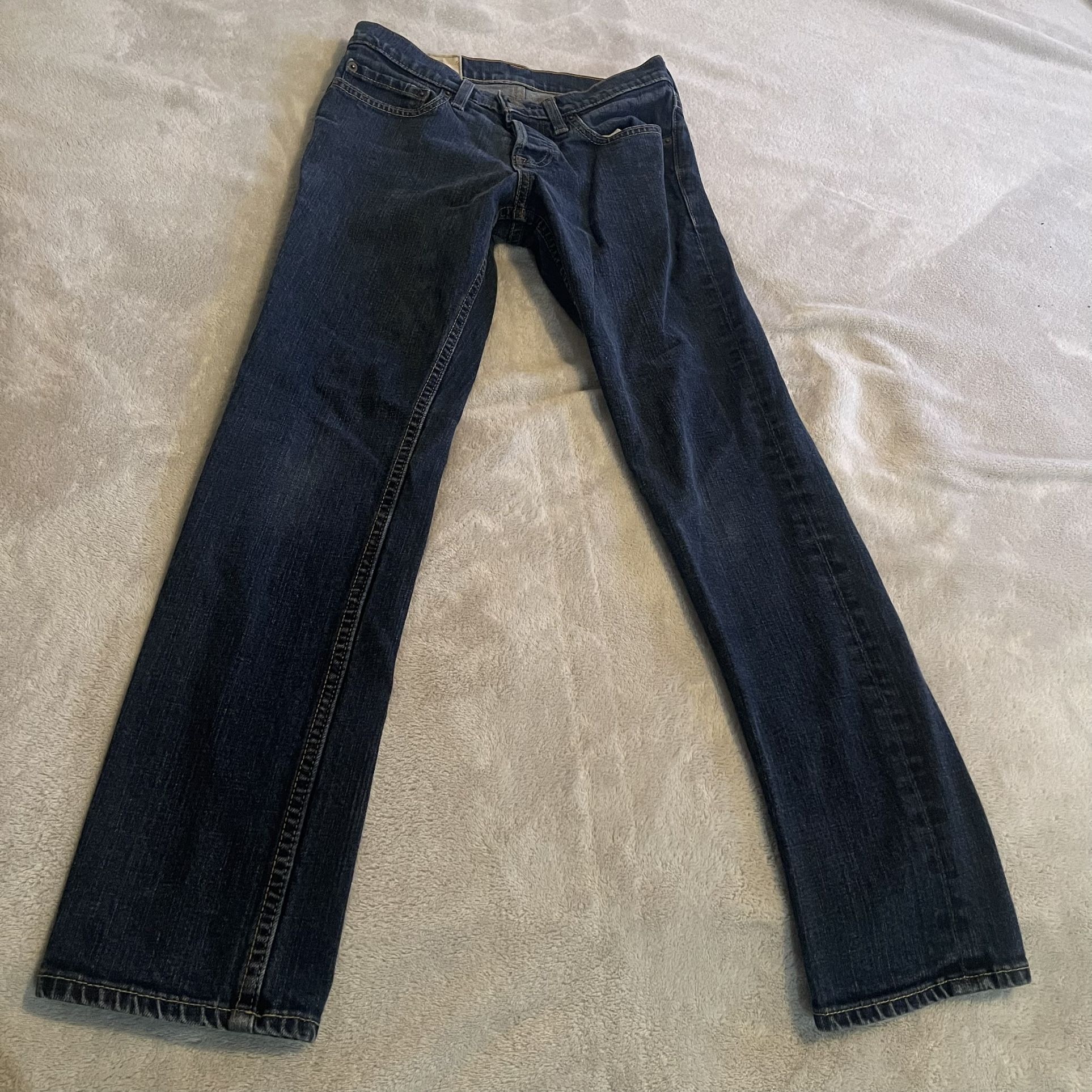 Hollister Jeans Men 28x30 Blue Straight Leg Outdoors Western Low Rise Casual