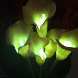 Flower light