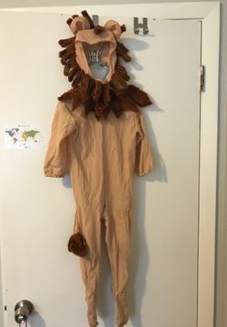 Cute lion costume