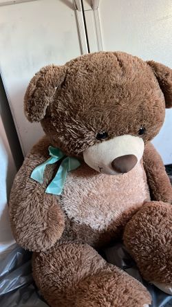 Sweet bear