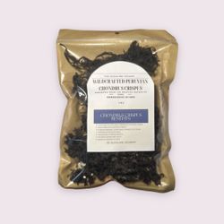Chondrus Crispus