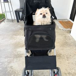 Dog / Pet Stroller $45 OBO
