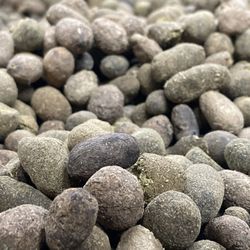 Premium Goat Manure 