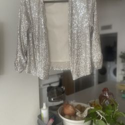 Silver Sequined Dress