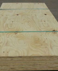 5/8 CD PLYWOOD 