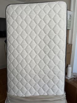 Twin Organic Mattress $100