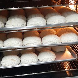 Gusto Equipment ,5 Parrillas