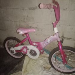 Pink Bike 