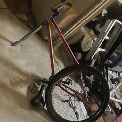 Oil Slick 29er
