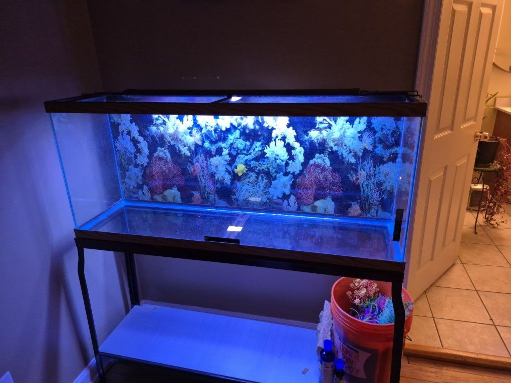 55 Gallon With All Accessories