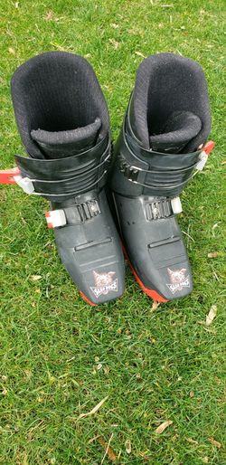 NordicTrak Snow Skates/Skis