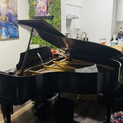 🚨 HUGE Indoor Yard Sale – EVERYTHING CHEAP! 🚨