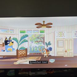 Samsung 65” TV