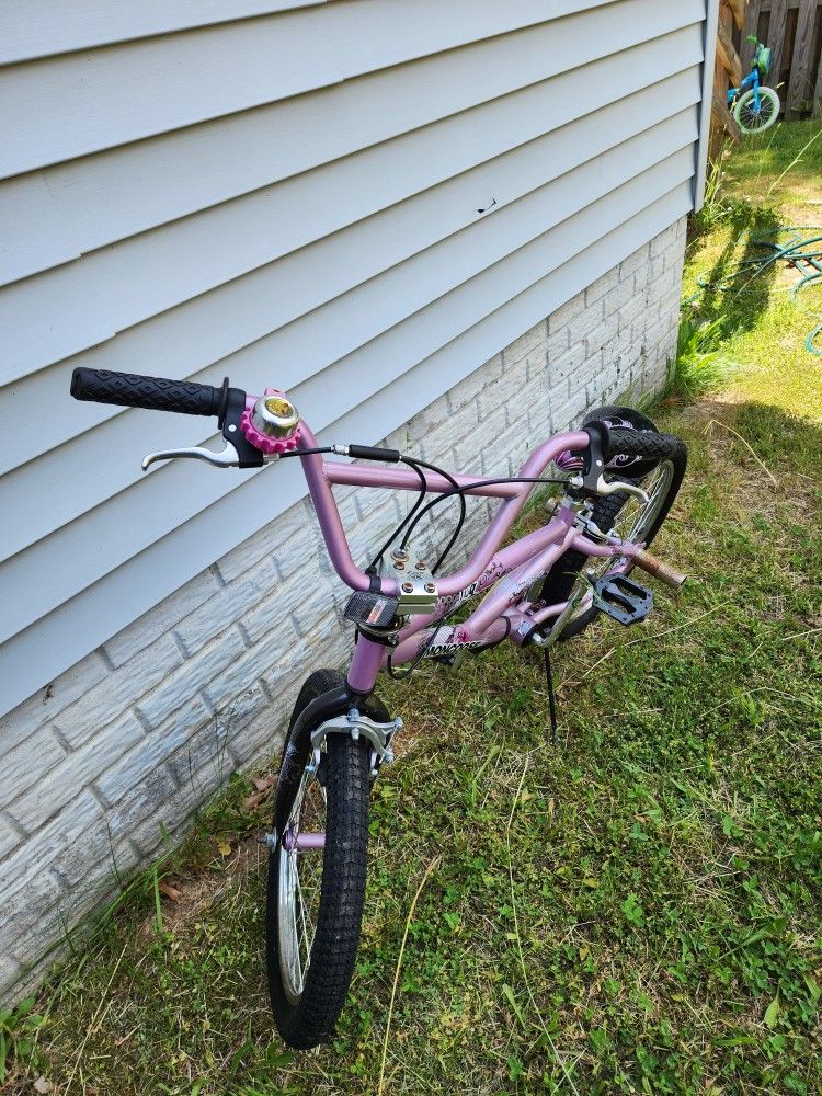 Good Condition Bike (20")