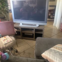 Televisión Panasonic 45 Pulgadas  No Tiene Control 