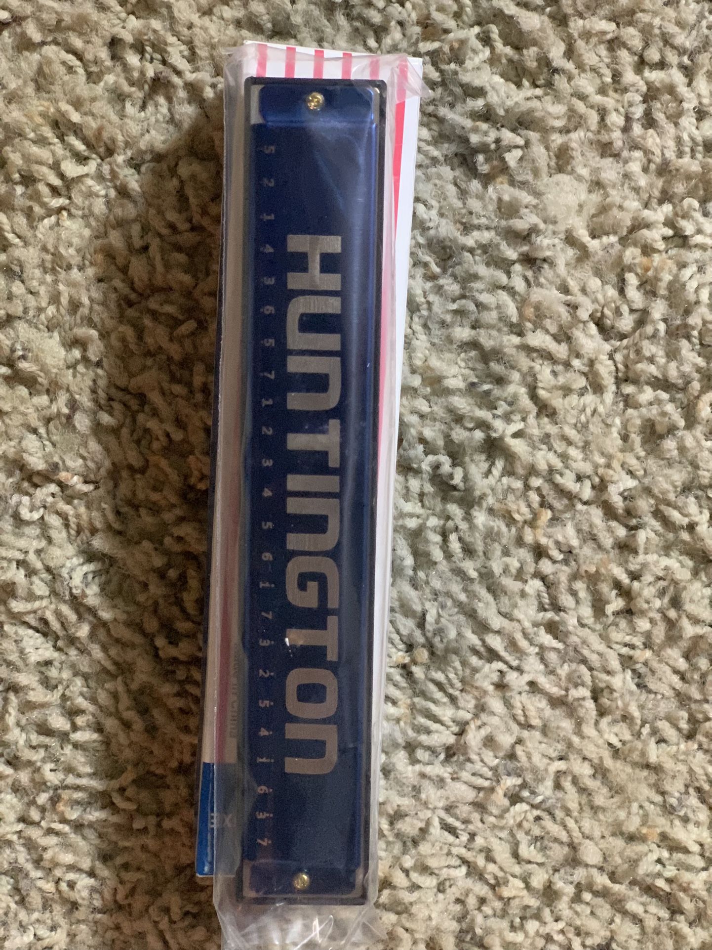 Huntington Adults Harmonica
