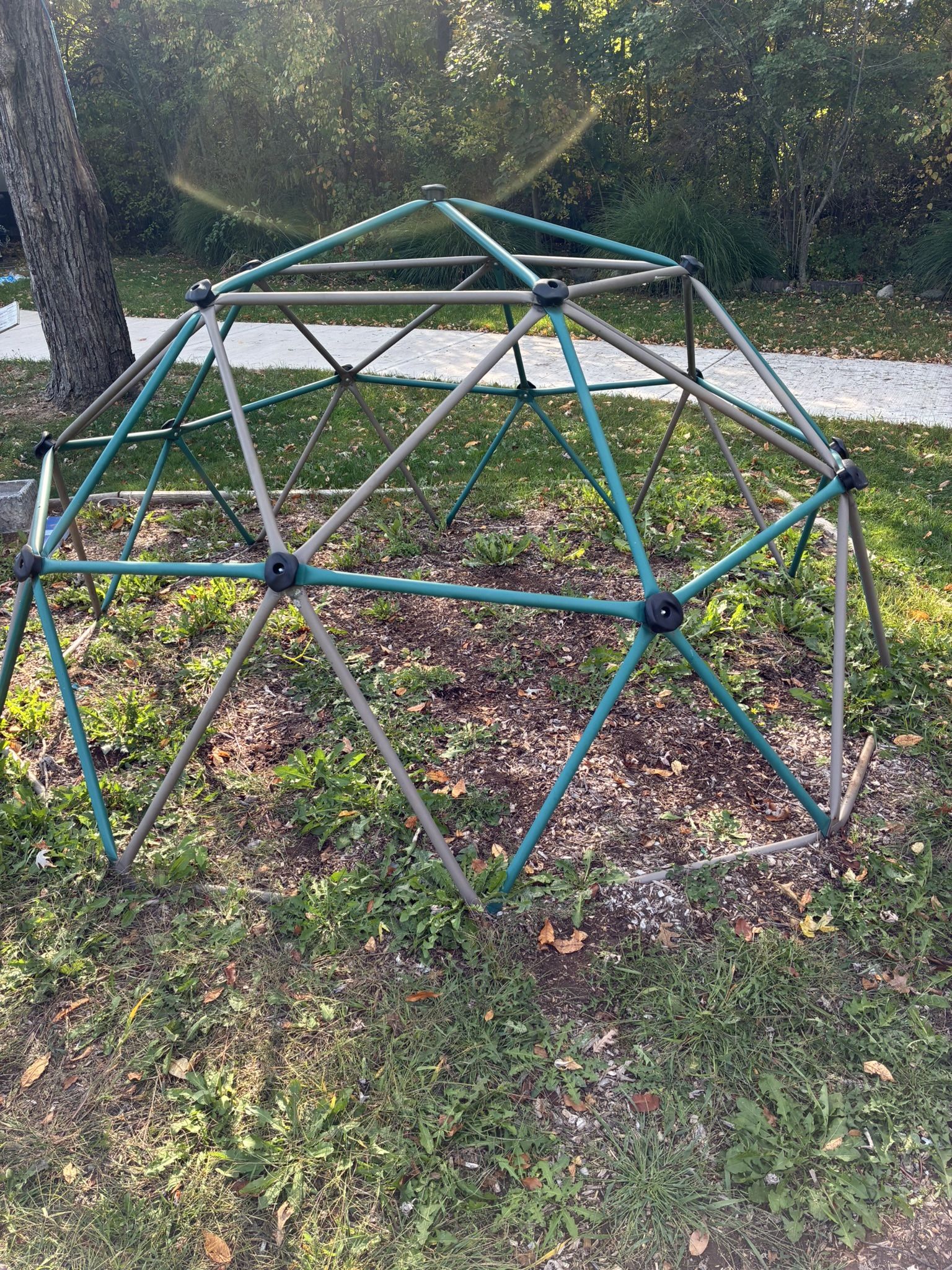 Kids Dome Climber