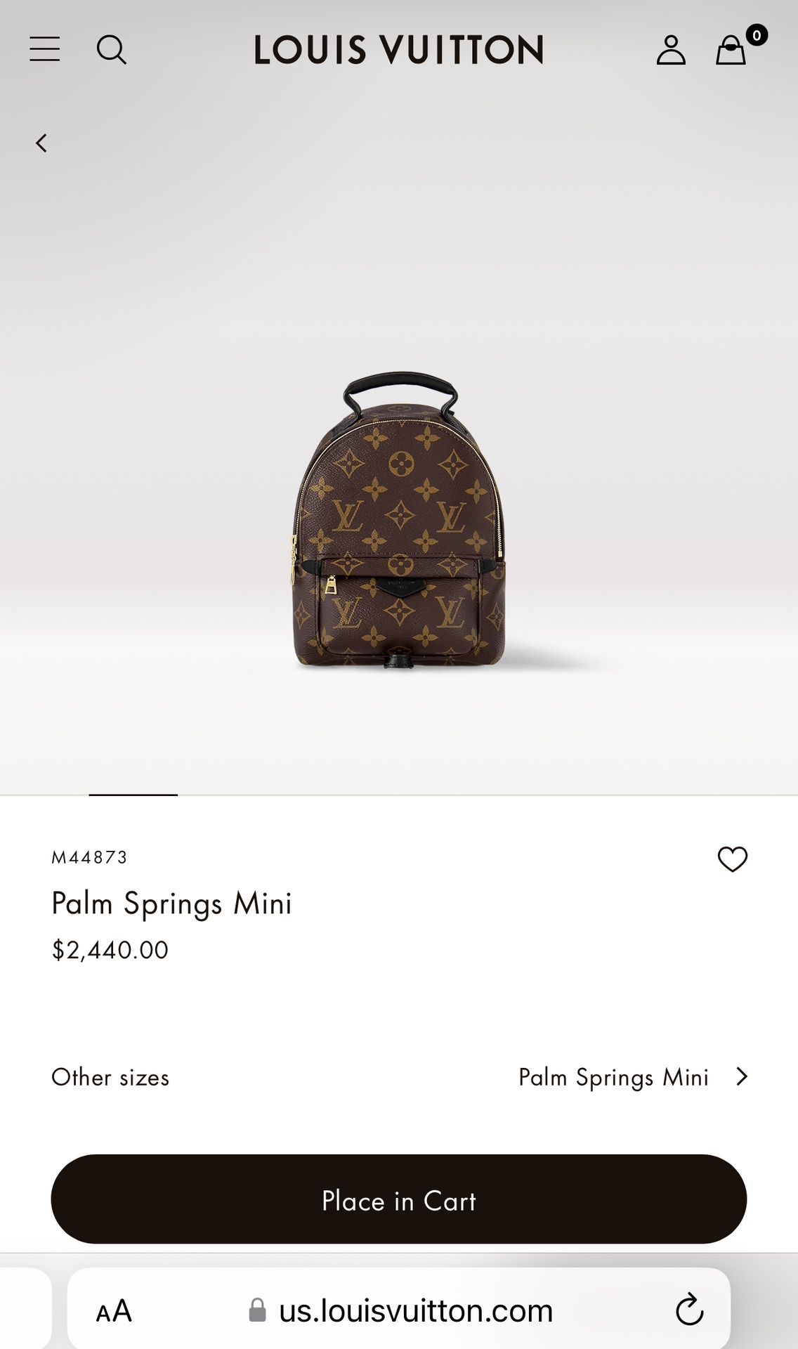 Louis Vuitton Palm Springs Bag