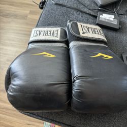 Everlast 16oz Boxing Gloves