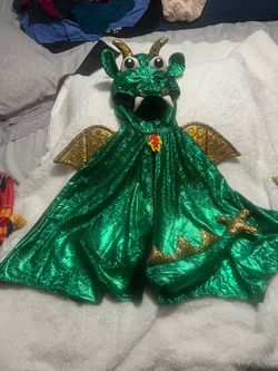 Dragon costume 4T