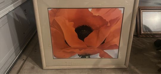 Flower pitcher with frame