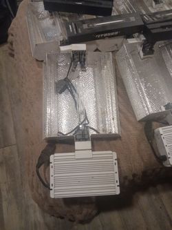 Grow lights platinum horticulture