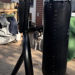 Everlast punching bag and speed bag  PICK UP IN LAKE ELMO MN 55042