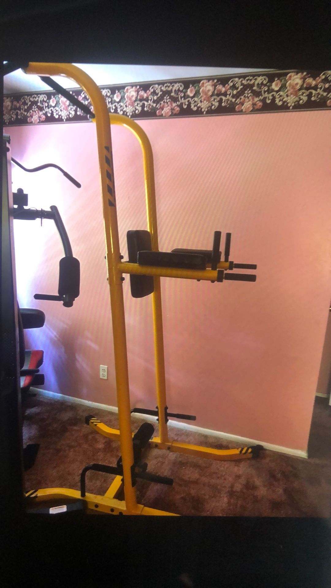 Stinger Workout Equipment Brand New