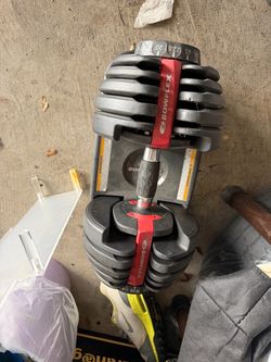 Bowflex 552 Dumbells