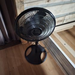 Fan 