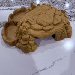 Reptile house With Food And Water Dish Attached