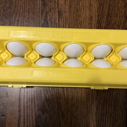 Egg 12pcs Set Match Color & Shape in Yellow Egg Carton
