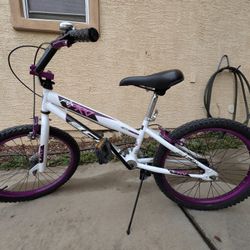 20” BCA Pro  Bike – Great Condition – Garage Kept