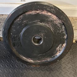 45 Pound Rubber Plate X2