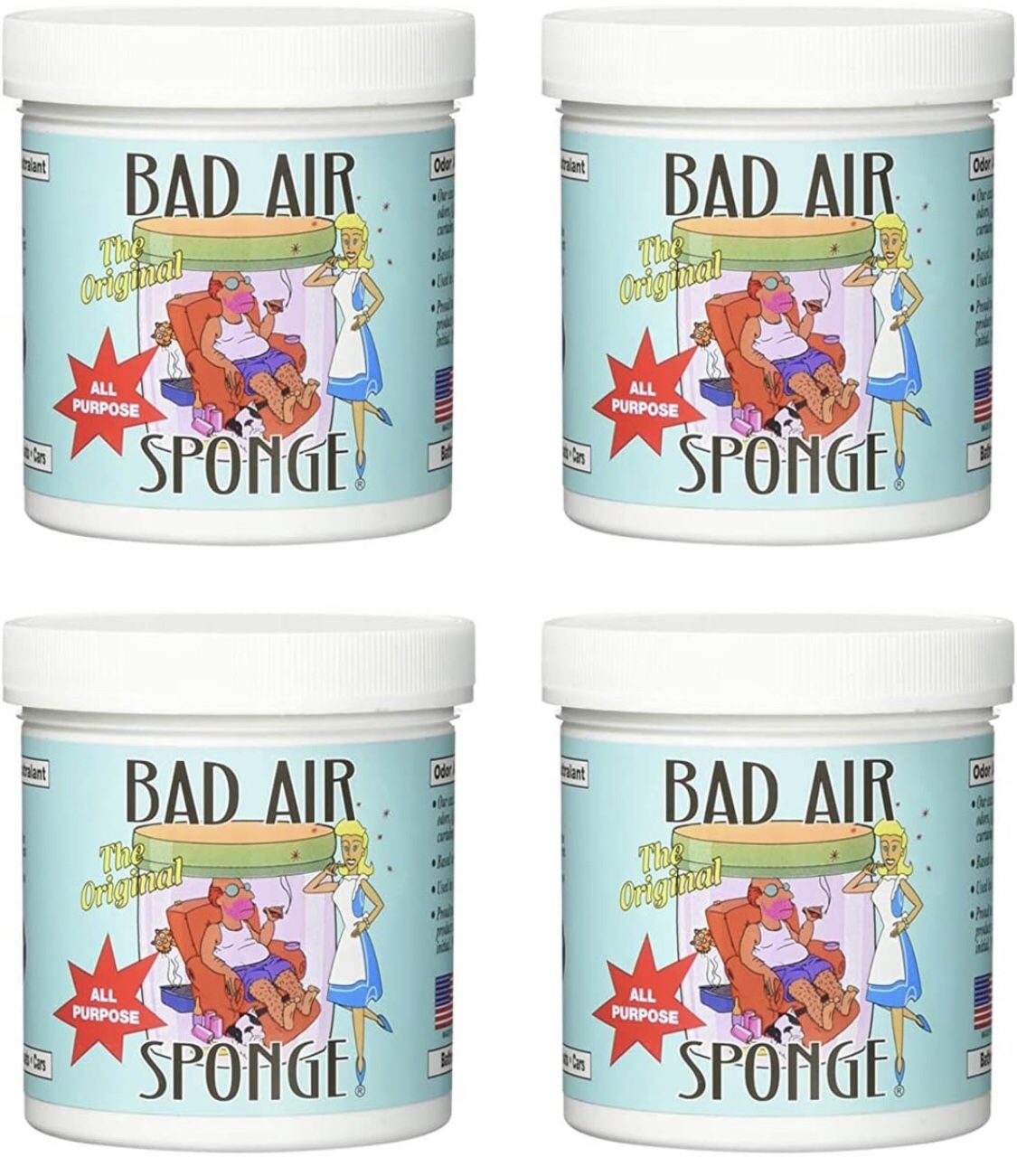 Bad Air Sponge Odor Neutralant 14 Ounce, 4 Pack