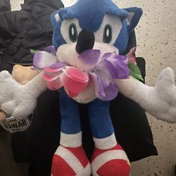 Stuffed Sonic, Shadow, Hello Kitty From Hawaii Dole