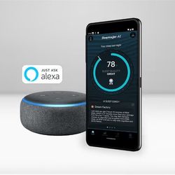 Twin Xl Tempur-Pedic Ergo Extend Premium Adjustable And Premium Sterns And Foster Mattress Package New-Or- Qn Adjustable And Mattress-queen  Avacado