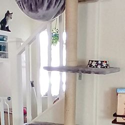 Upgraded Stable Adjustable 87"-116" Tall Cat Climbing Tree 