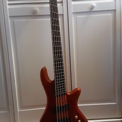 5 string Schecter
 Bass , Stiletto Diamond Series