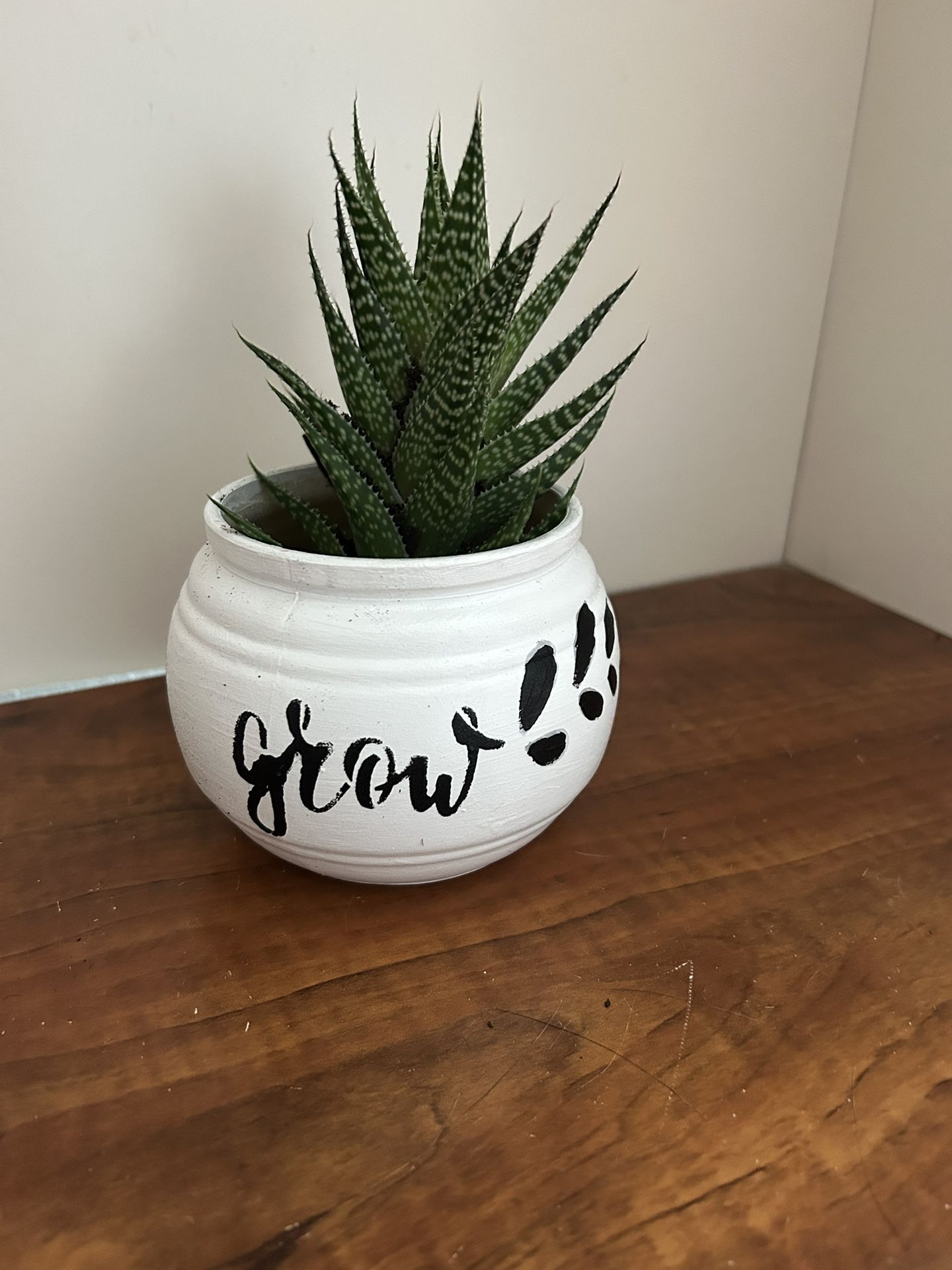 Real Life Plant Black And White Planter