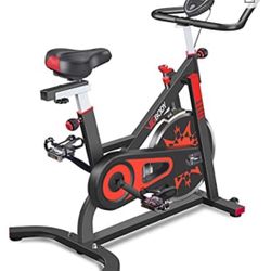 VIGBODY Exercise Bike Indoor Cycling 