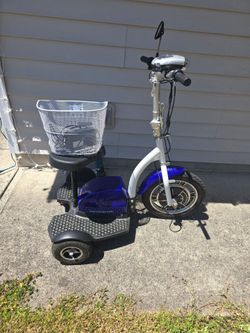 3 Wheel Electric Trike