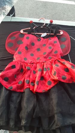 Lady bug foryouth