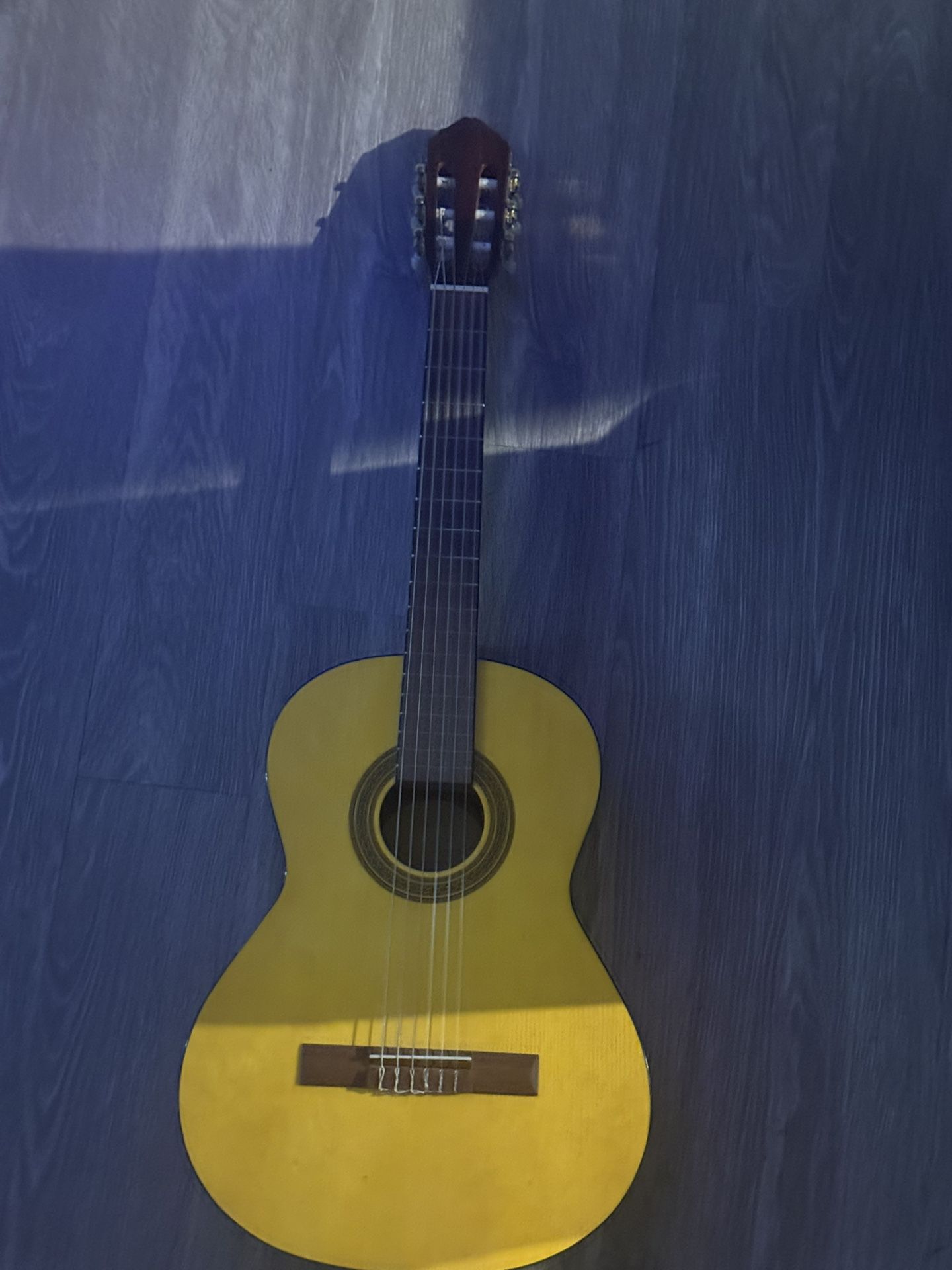 Acoustic Guitar