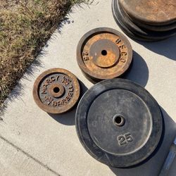 Weights And Straight Bar