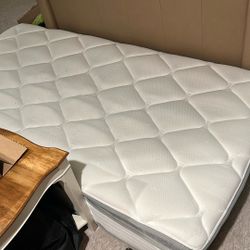 Twin Size Mattress ONLY 