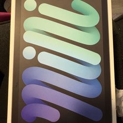 iPad Mini (6th Generation) 64gb  WiFi